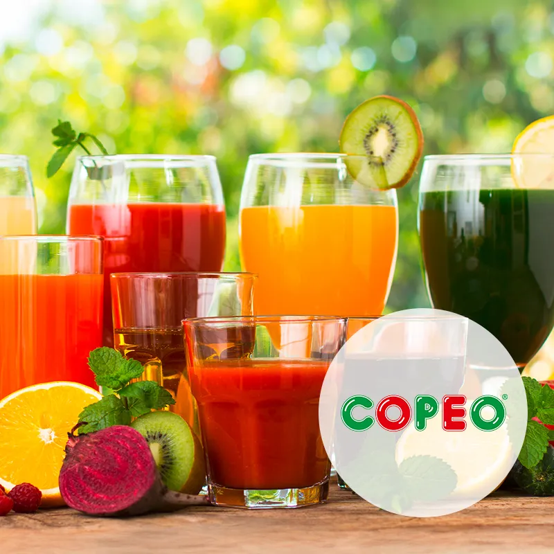 Kleiner Slider Copeo 25