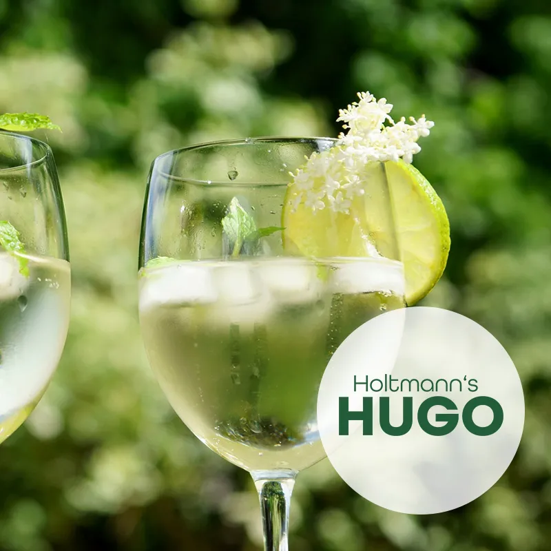 Kleiner Slider Holtmanns Hugo